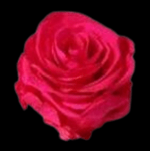 PRE-006-PINK-2.png