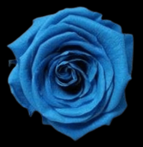 PRE-011-SKY-1.png