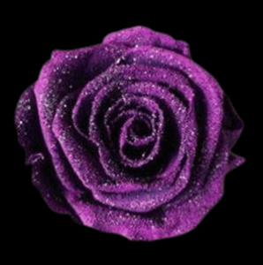 PRE-023-PLAT-M-1.png