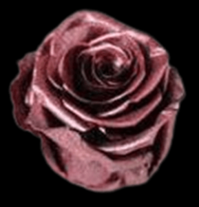 PRE-024-PLAT-R-2.png
