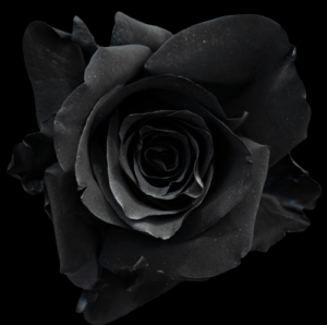 TIN-001-BLACK-MOON.png