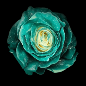 TIN-011-FROSTY-DARK-TURQUOISE.png