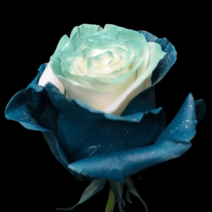 TIN-013A-FROSTY-MINT.png