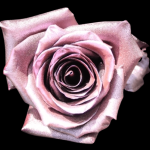 TIN-023-LIGHT-PINK-METAL.png