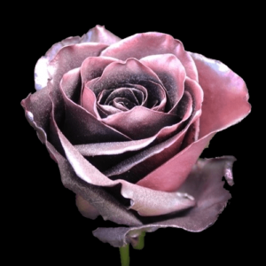 TIN-023A-LIGHT-PINK-METAL.png