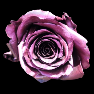 TIN-032-PINK-METAL.png