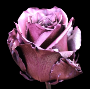TIN-032A-PINK-METAL.png