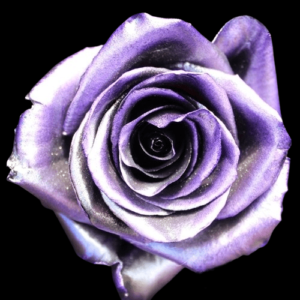 TIN-035-PURPLE-METAL.png