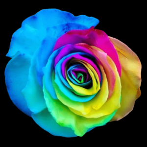 TIN-037-RAINBOW.png