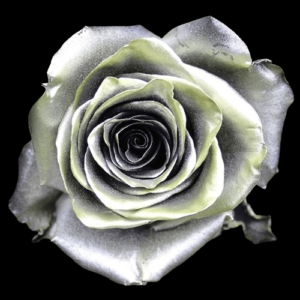 TIN-041-SILVER-METAL.png