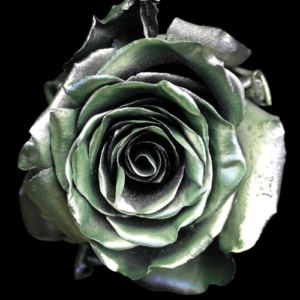 TIN-042-SILVERY-GREEN-METAL.png