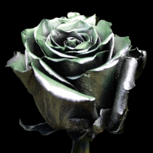 TIN-042A-SILVERY-GREEN-METAL.png