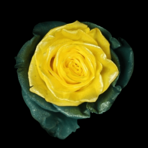 TIN-054-YELLOW-STAR.png