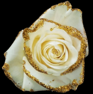 TIN-056-EFECTO-3D-1-BLANCO.png