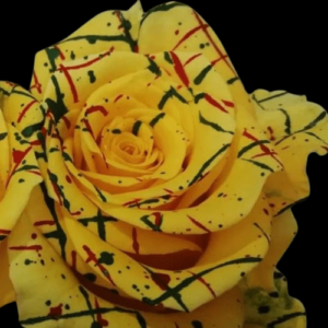 TIN-060-METODO-MIXTO-1.png