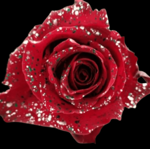 TIN-061-METODO-MIXTO-2.png