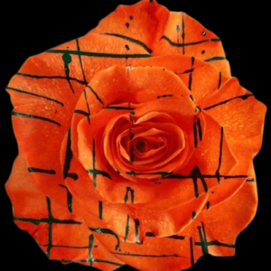 TIN-062-METODO-MIXTO-3.png