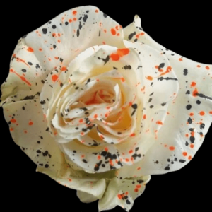 TIN-063-METODO-MIXTO-4.png