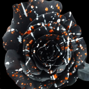 TIN-066-METODO-MIXTO-7.png