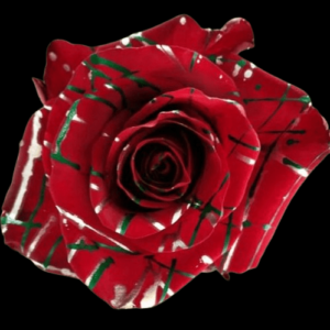TIN-067-METODO-MIXTO-8.png