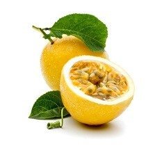 images-5-copia.jpg