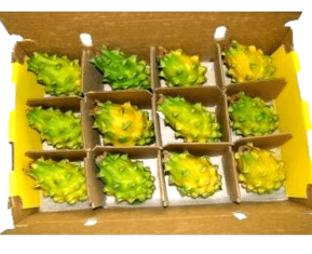 PITAHAYA-CAJA-PNG.png