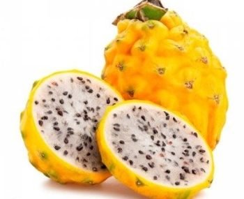 PITAHAYA-DISPLAYER.jpg